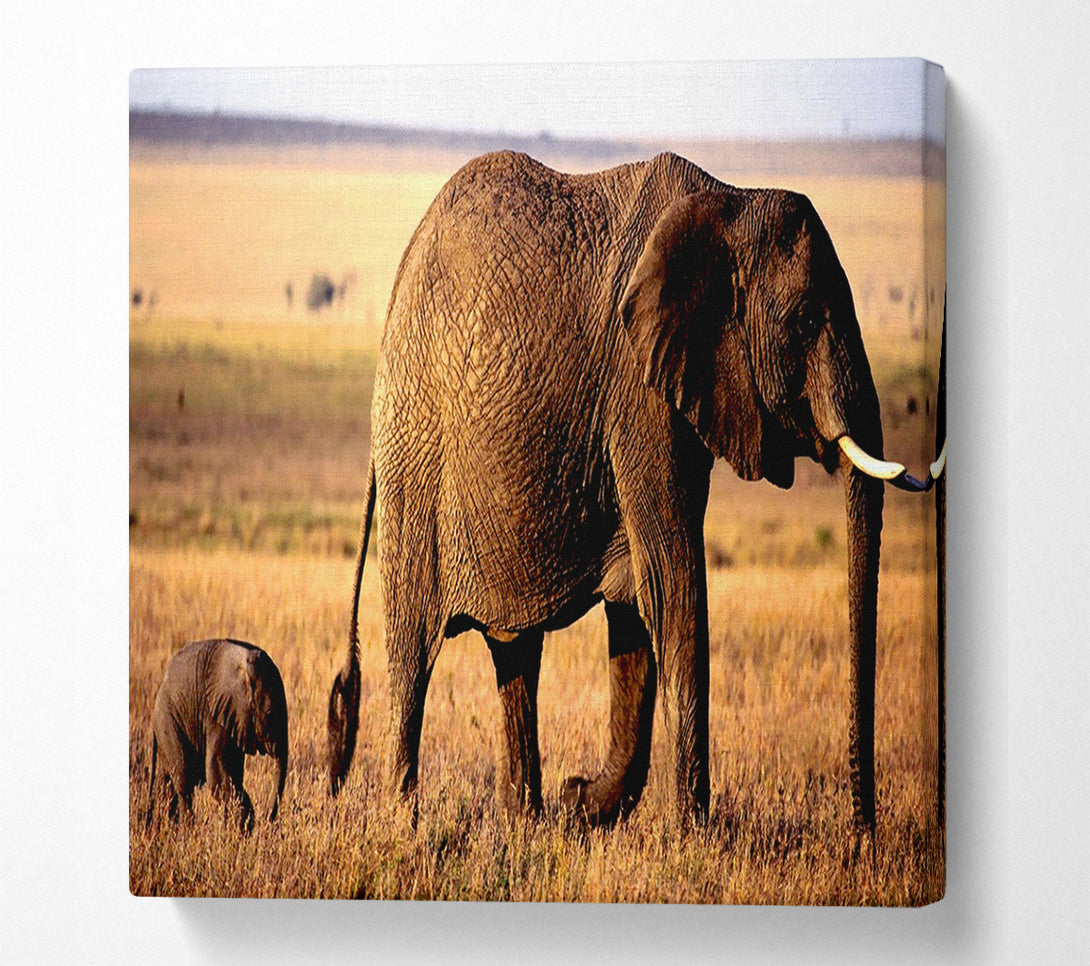  A Canvas Print of Elephant Mother And Baby Canvas Art