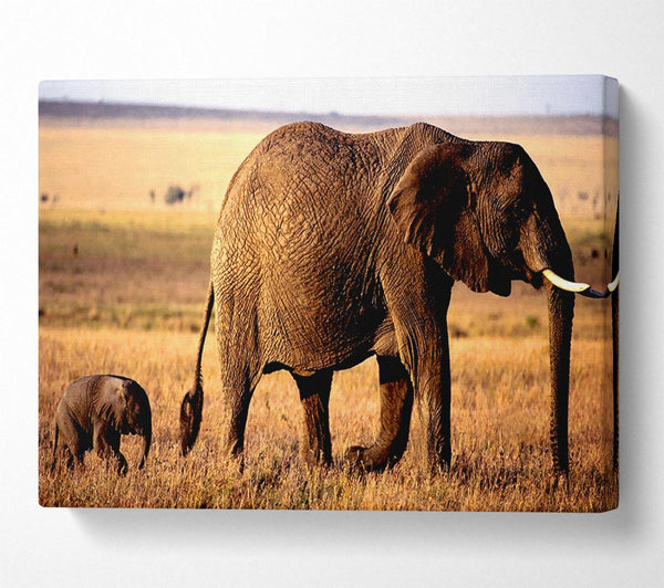 A Canvas Print of Elephant Mother And Baby Canvas Art