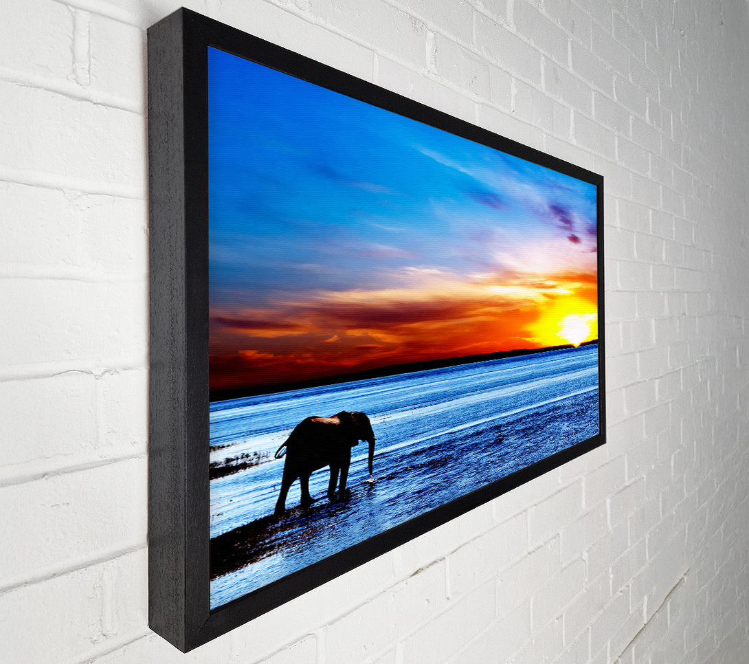  A Canvas Print of Elephant Ocean Canvas Print