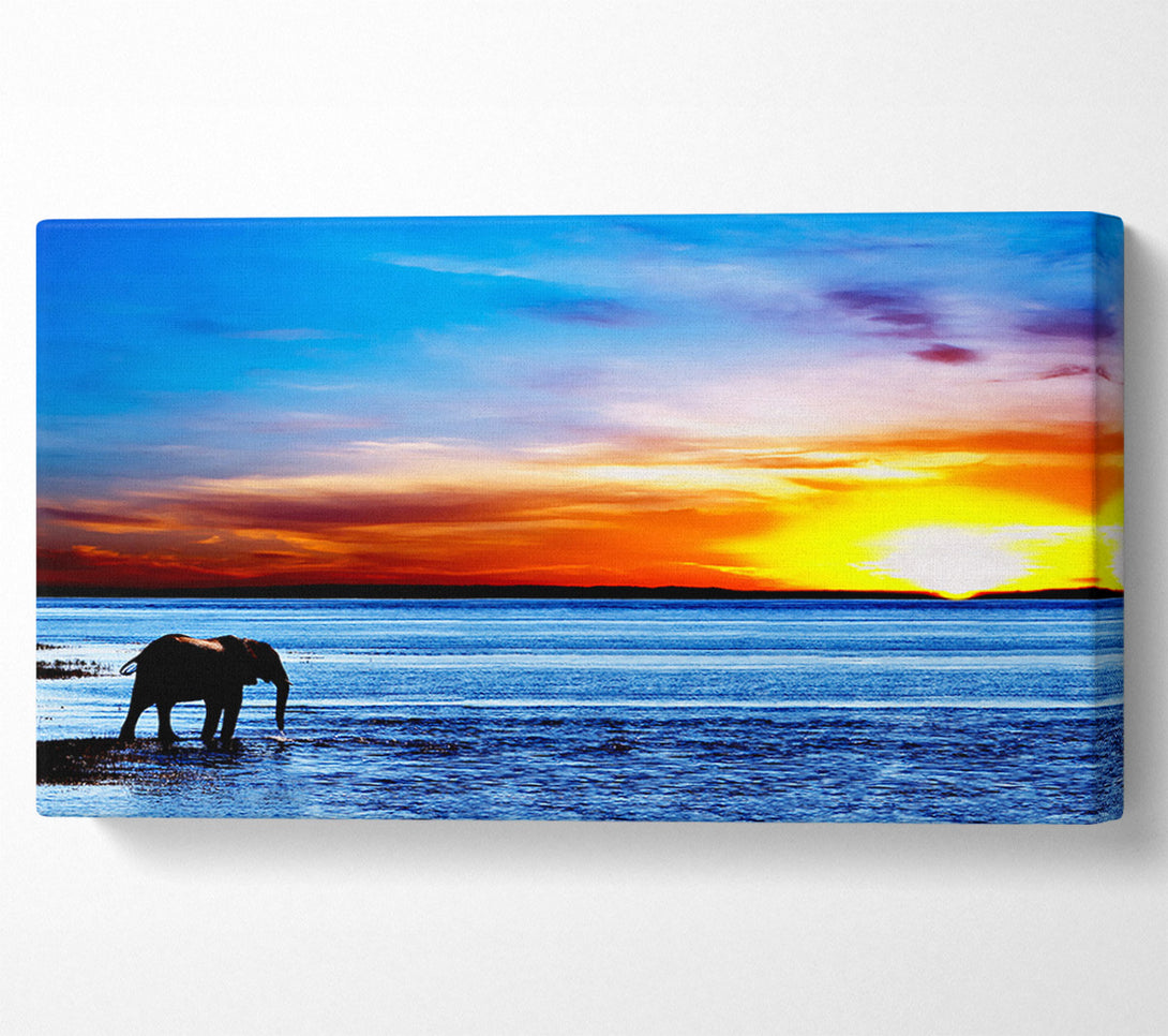  A Canvas Print of Elephant Ocean Canvas Print