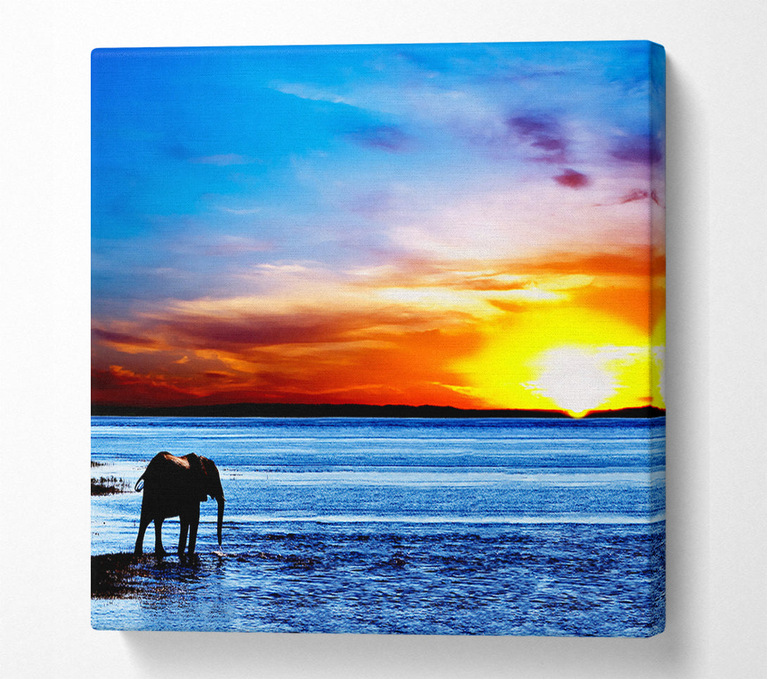  A Canvas Print of Elephant Ocean Canvas Print