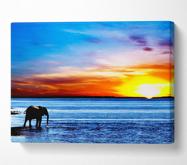  A Canvas Print of Elephant Ocean Canvas Print