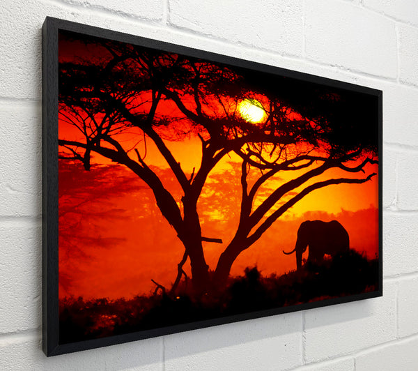 Elephant Safari Sunrise