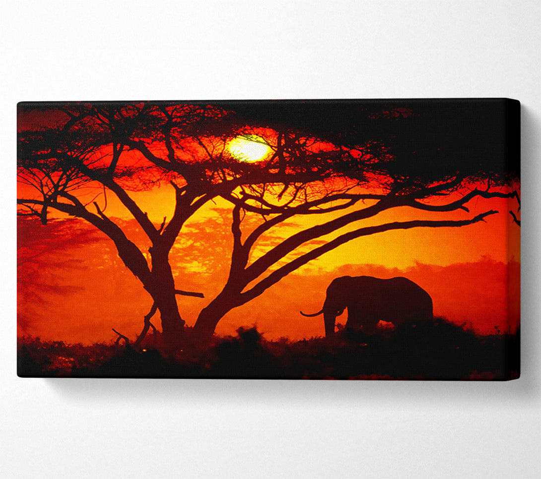  A Canvas Print of Elephant Safari Sunrise Canvas Wall Art