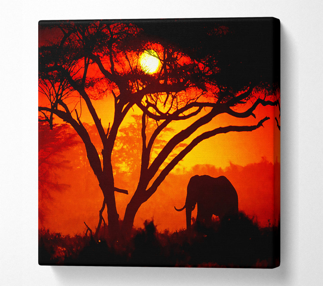  A Canvas Print of Elephant Safari Sunrise Canvas Wall Art