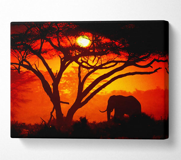  A Canvas Print of Elephant Safari Sunrise Canvas Wall Art