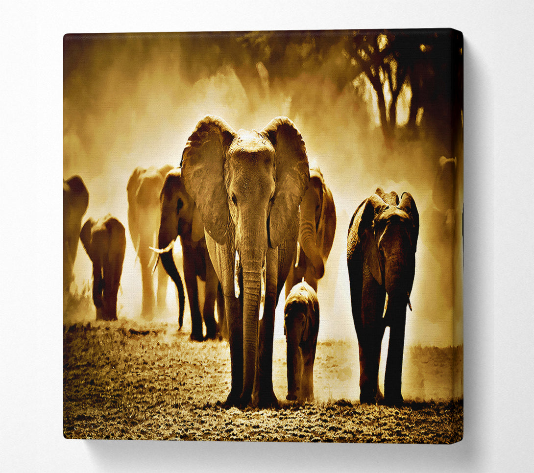  A Canvas Print of Elephant Stampede Canvas Art