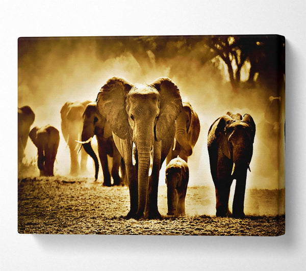  A Canvas Print of Elephant Stampede Canvas Art