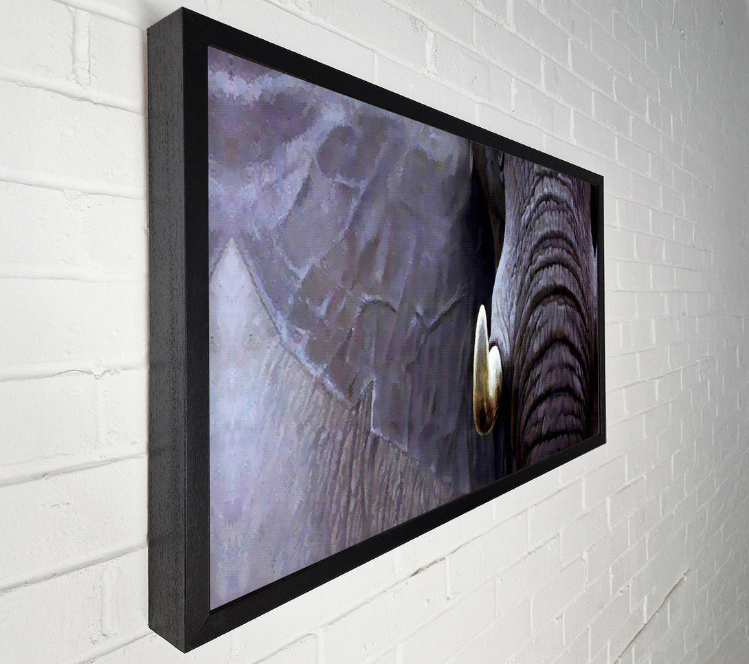  A Canvas Print of Elephant Stare Canvas Wall Art