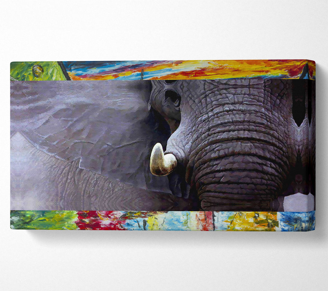  A Canvas Print of Elephant Stare Canvas Wall Art