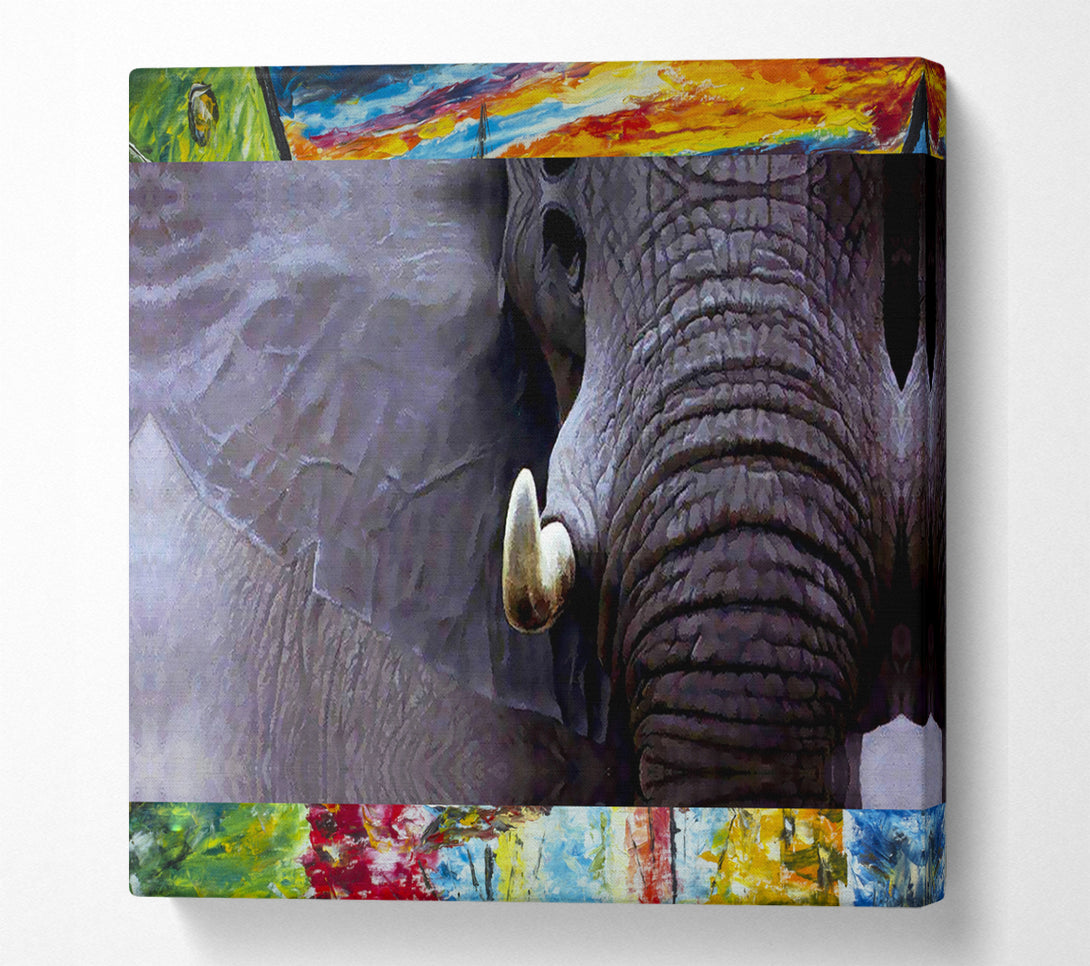  A Canvas Print of Elephant Stare Canvas Wall Art