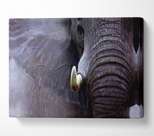  A Canvas Print of Elephant Stare Canvas Wall Art