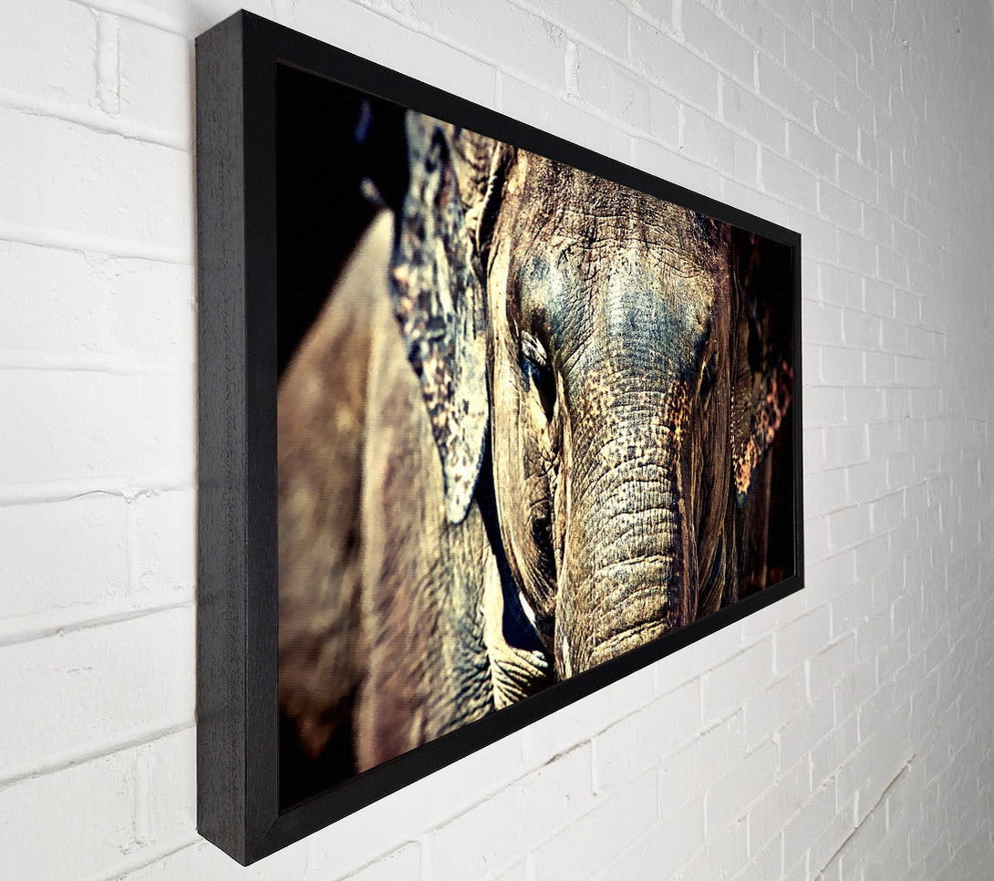  A Canvas Print of Elephant Trunk Canvas Print