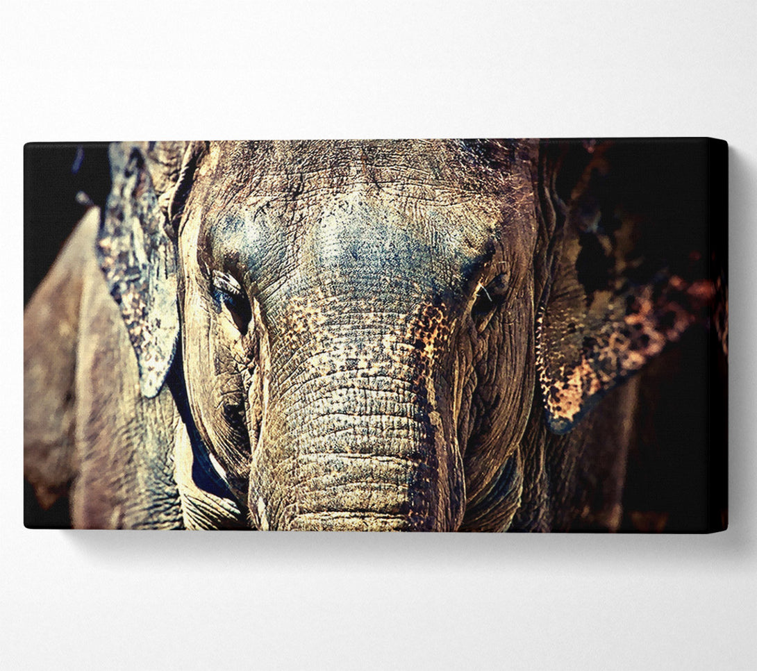  A Canvas Print of Elephant Trunk Canvas Print