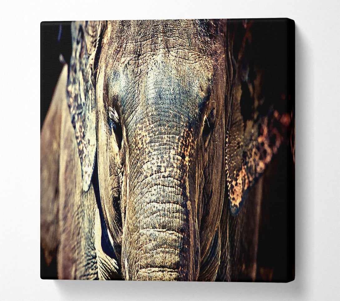  A Canvas Print of Elephant Trunk Canvas Print
