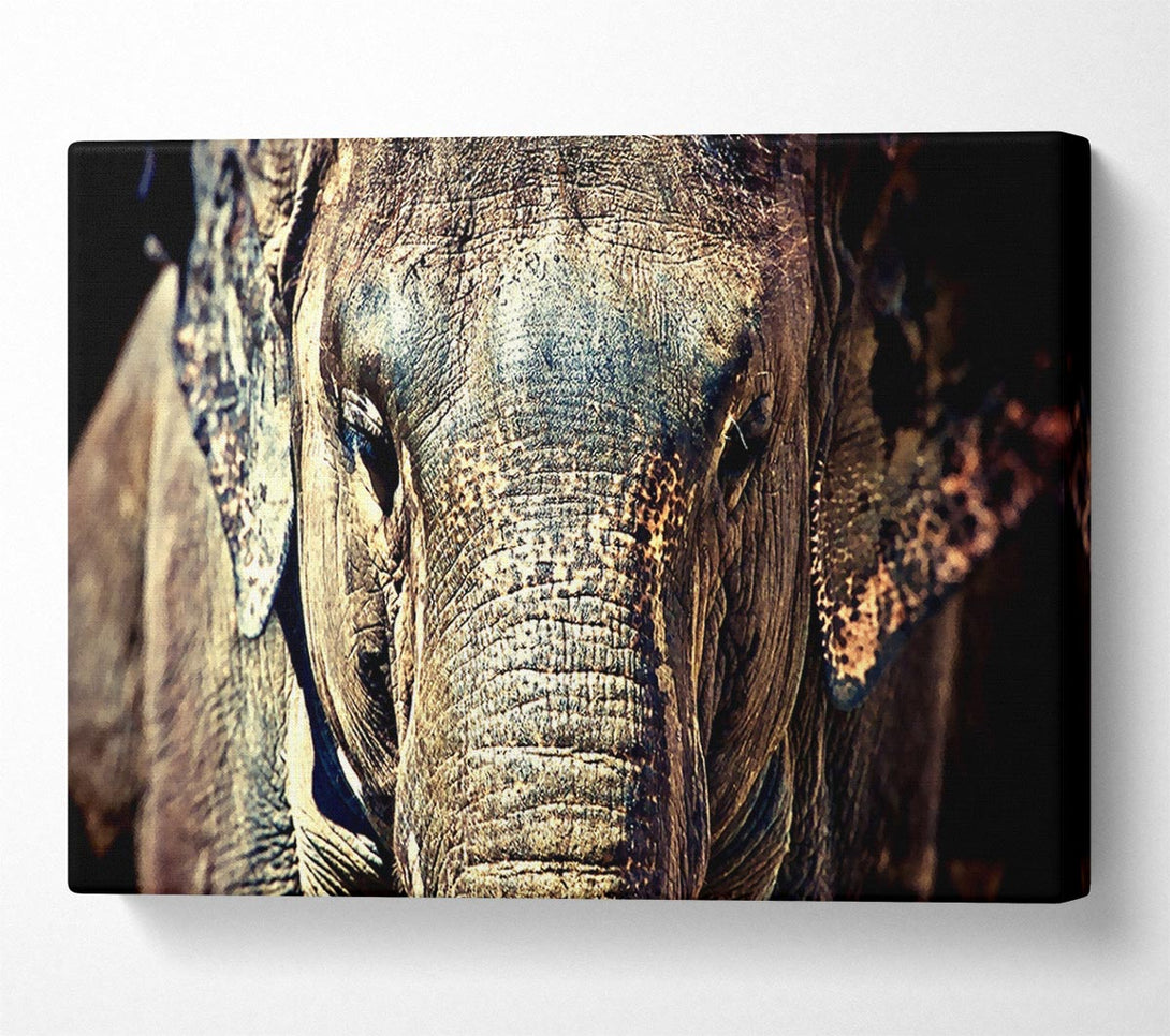  A Canvas Print of Elephant Trunk Canvas Print