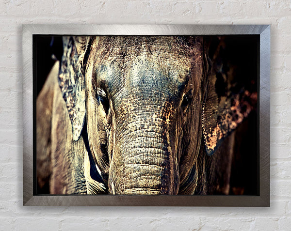 Elephant Trunk Framed Print