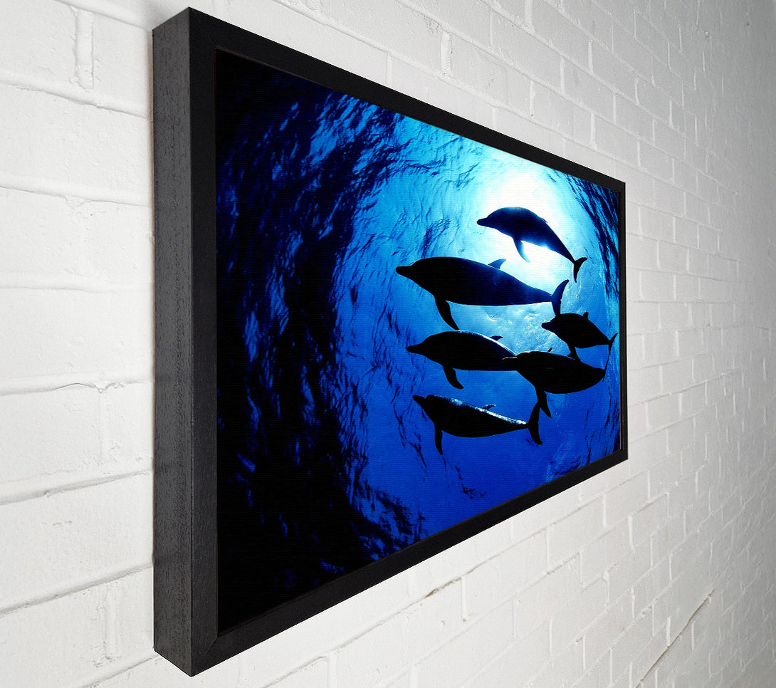  A Canvas Print of Family Of Dolphins Canvas Wall Art