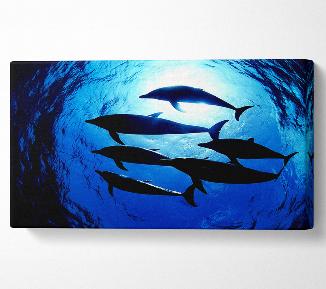  A Canvas Print of Family Of Dolphins Canvas Wall Art