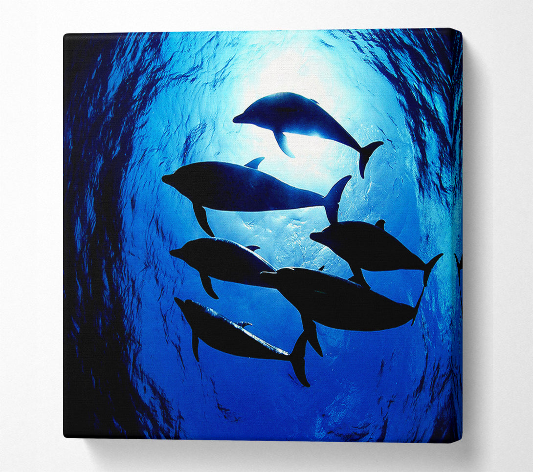  A Canvas Print of Family Of Dolphins Canvas Wall Art