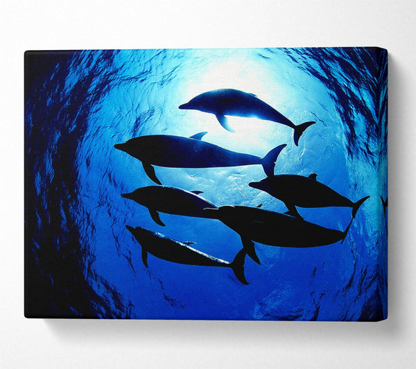  A Canvas Print of Family Of Dolphins Canvas Wall Art