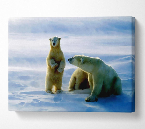  A Canvas Print of Family Of Polar Bears Canvas Print