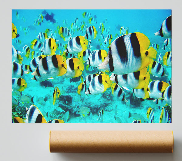Fish Fury Giclee Print