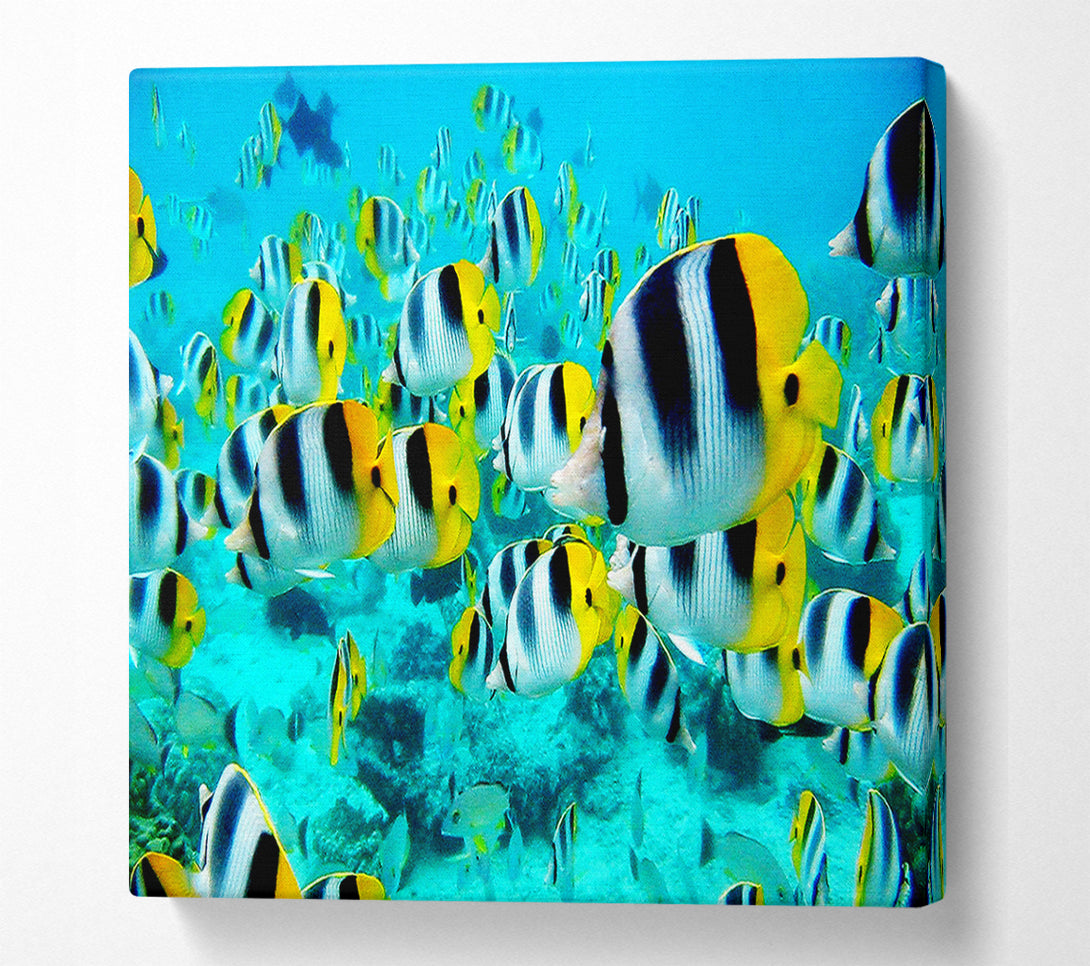  A Canvas Print of Fish Fury Canvas Art