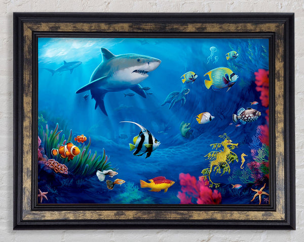 Fish Swirl Ocean