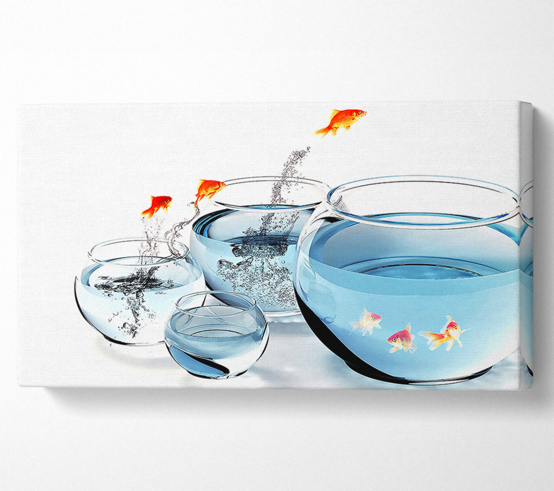  A Canvas Print of Fishes And Aquariums Canvas Art