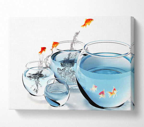  A Canvas Print of Fishes And Aquariums Canvas Art