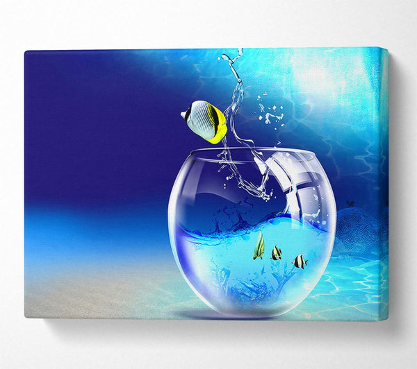  A Canvas Print of Fishy Life Canvas Art