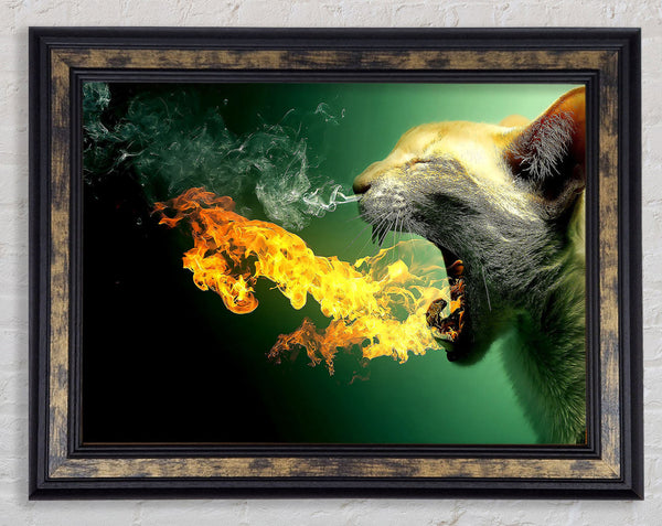 Flaming Cat