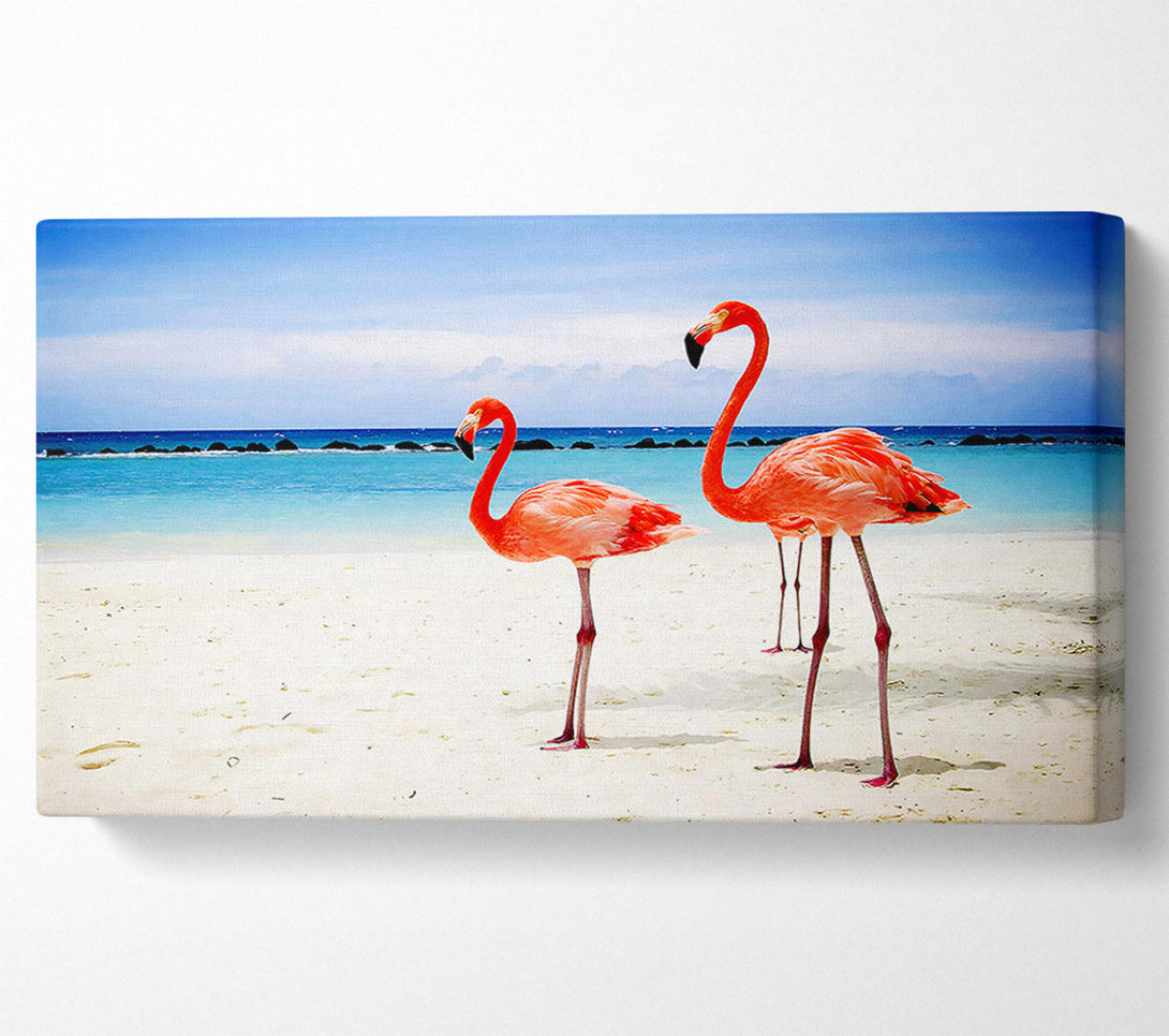  A Canvas Print of Flamingo Paradise Canvas Print