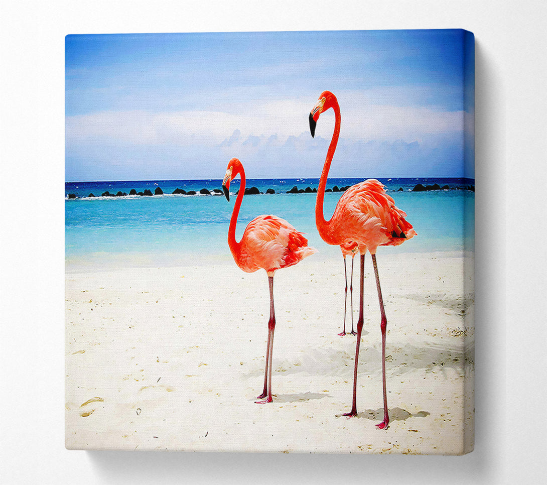  A Canvas Print of Flamingo Paradise Canvas Print