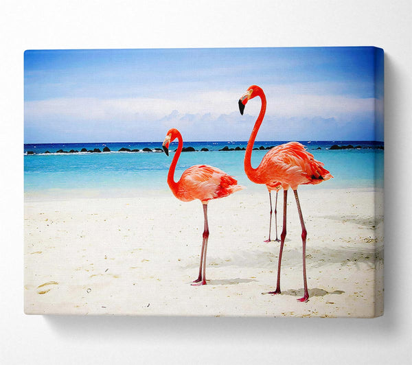 A Canvas Print of Flamingo Paradise Canvas Print