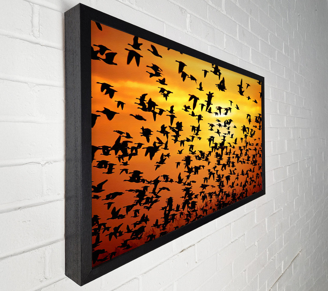  A Canvas Print of Flight Of The Golden Birds Canvas Print