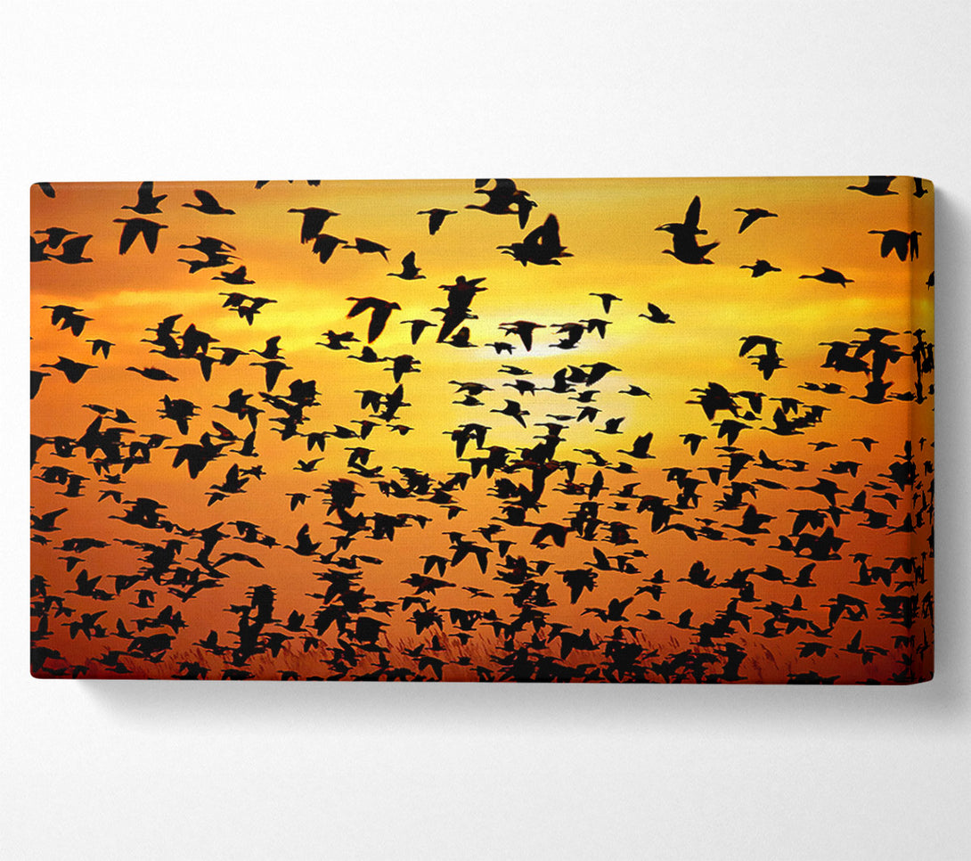  A Canvas Print of Flight Of The Golden Birds Canvas Print