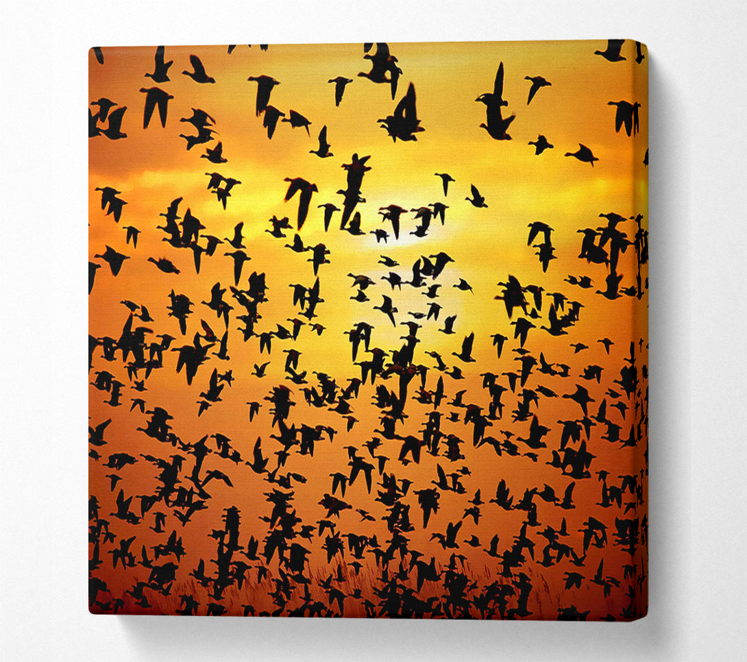  A Canvas Print of Flight Of The Golden Birds Canvas Print