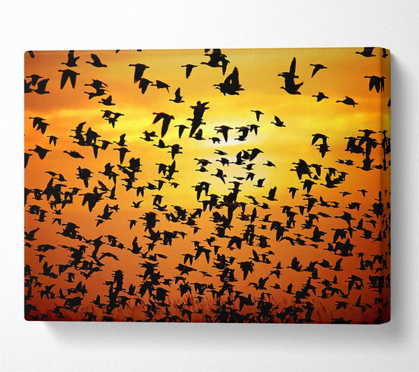  A Canvas Print of Flight Of The Golden Birds Canvas Print