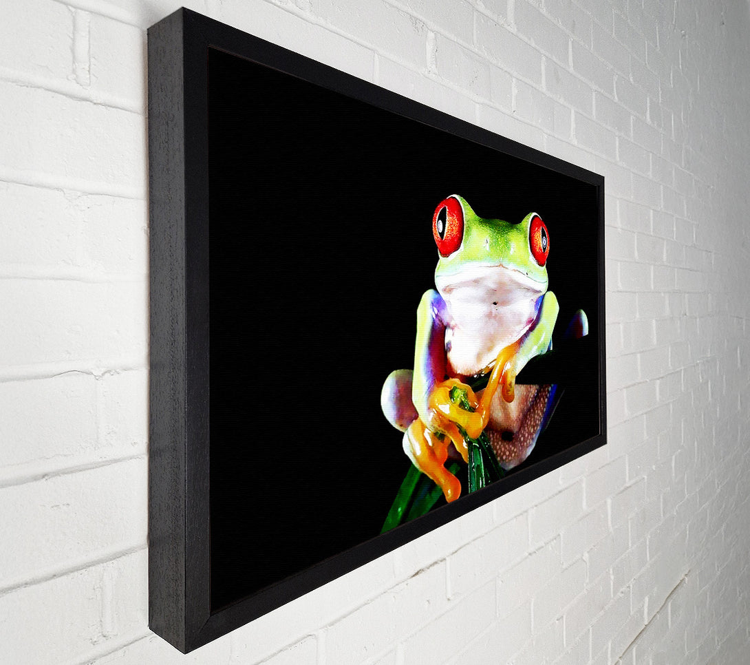  A Canvas Print of Frog Eyes Canvas Wall Art