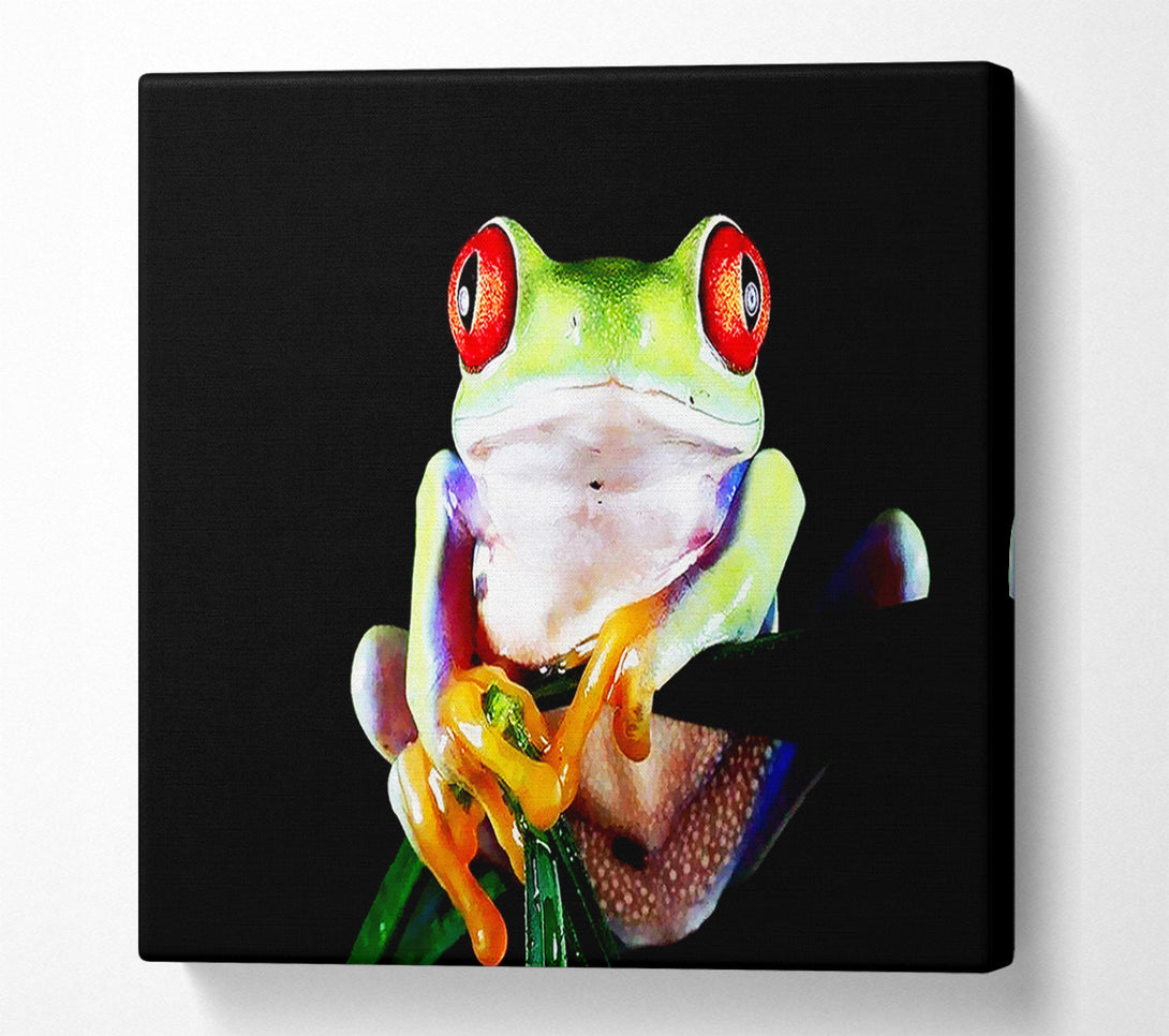  A Canvas Print of Frog Eyes Canvas Wall Art
