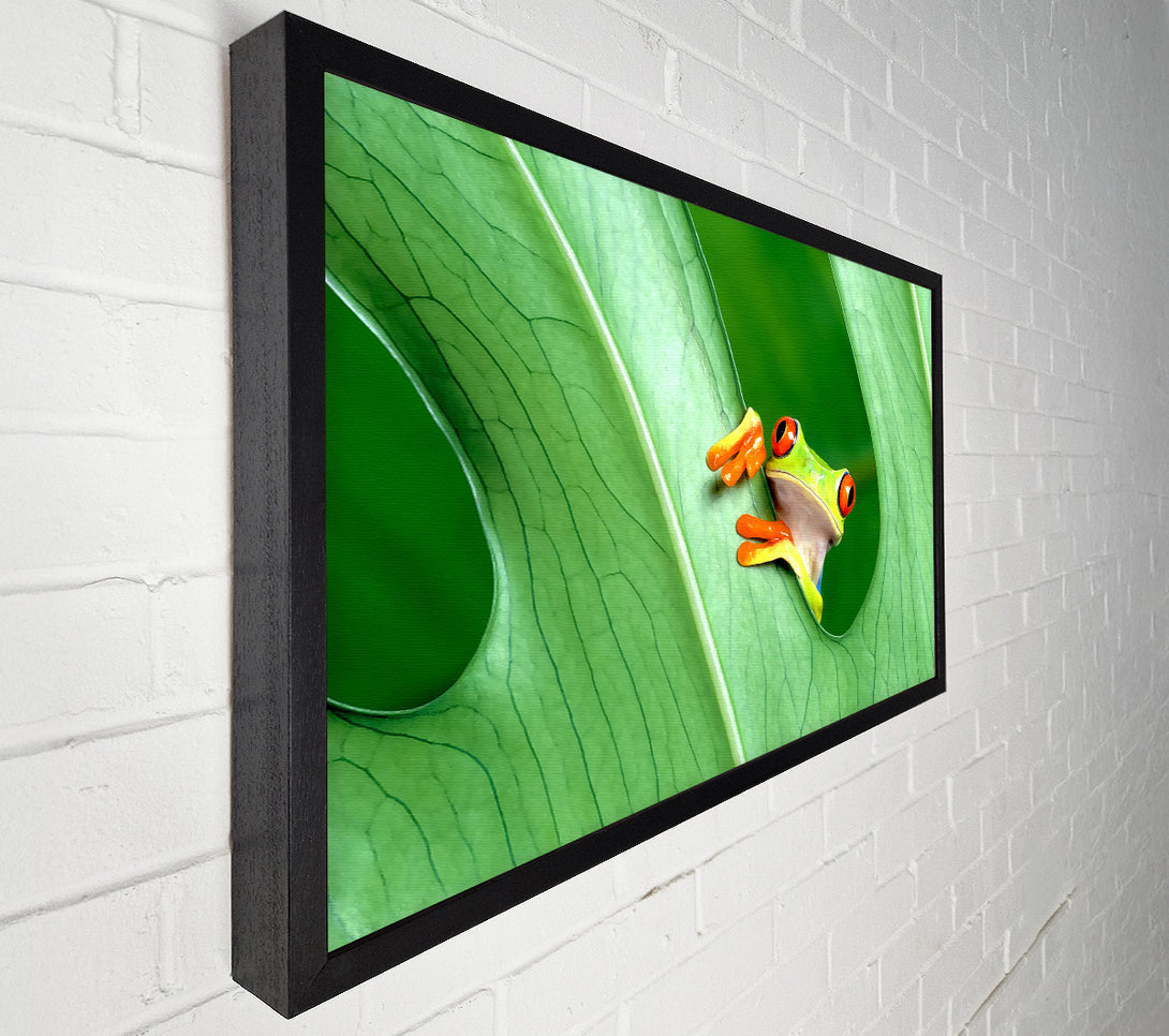  A Canvas Print of Frog Canvas Wall Art