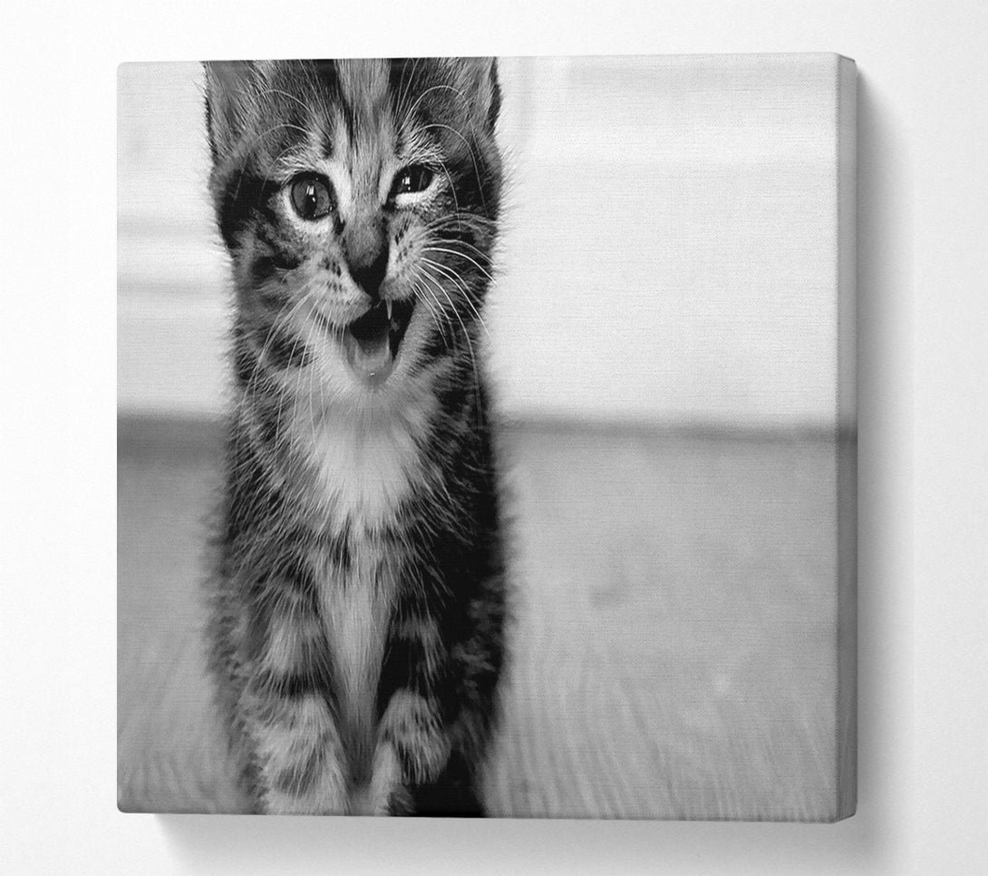  A Canvas Print of Funny Kitten Canvas Art