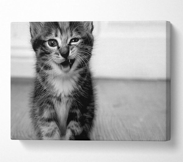  A Canvas Print of Funny Kitten Canvas Art