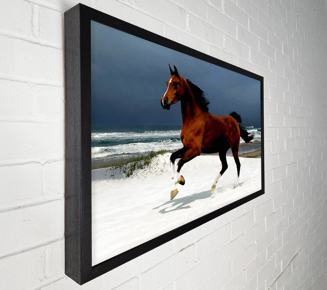  A Canvas Print of Galloping Horse Canvas Wall Art