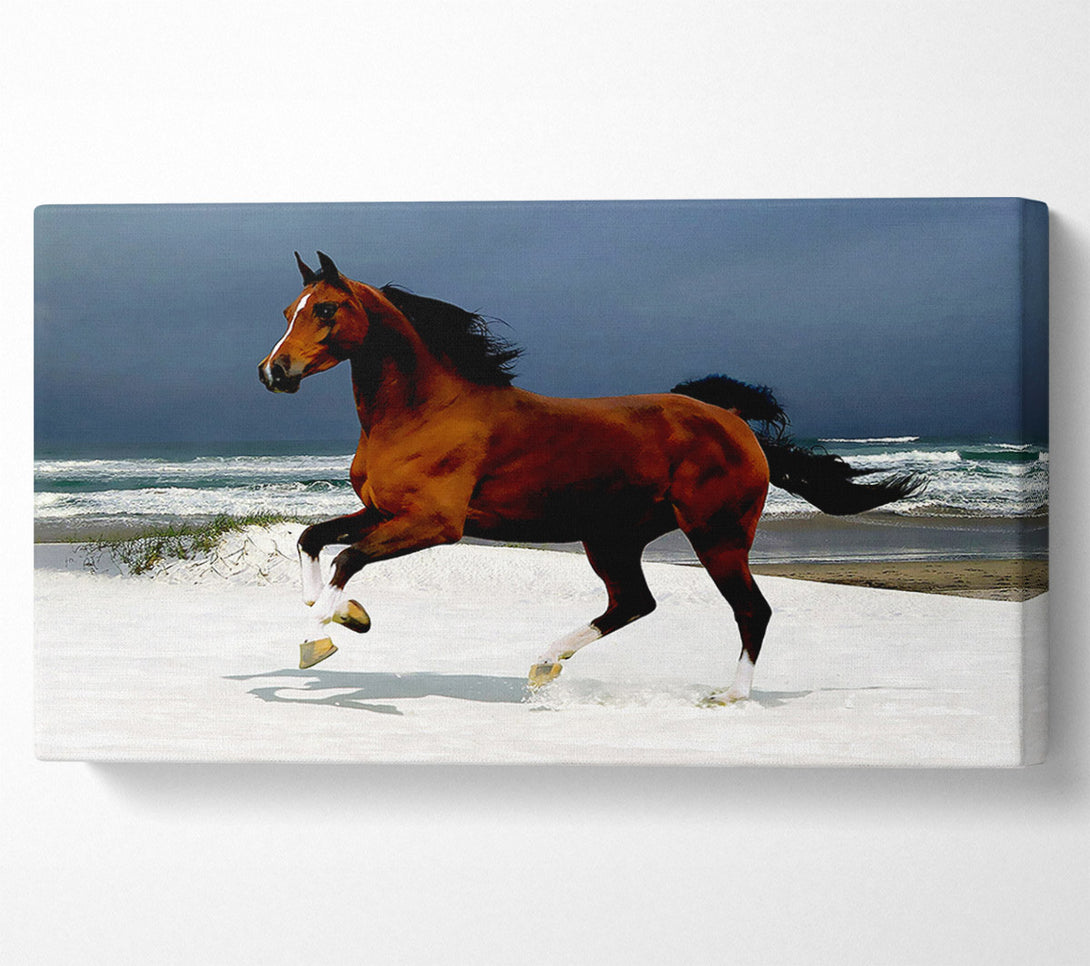  A Canvas Print of Galloping Horse Canvas Wall Art