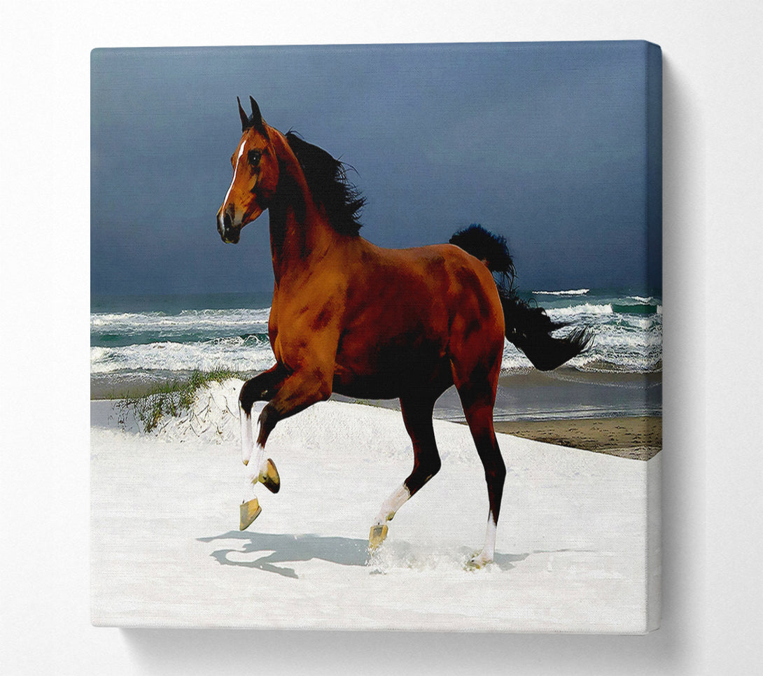  A Canvas Print of Galloping Horse Canvas Wall Art