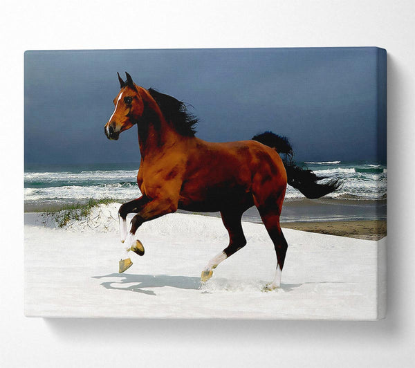  A Canvas Print of Galloping Horse Canvas Wall Art