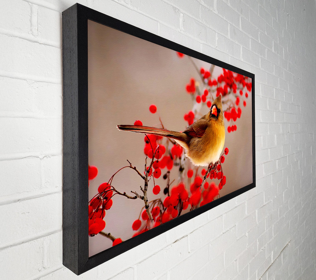  A Canvas Print of Garden Bird Canvas Print